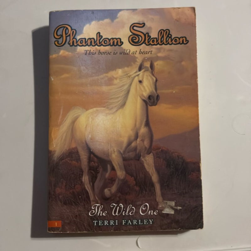 Phantom Stallion (The Wild One)