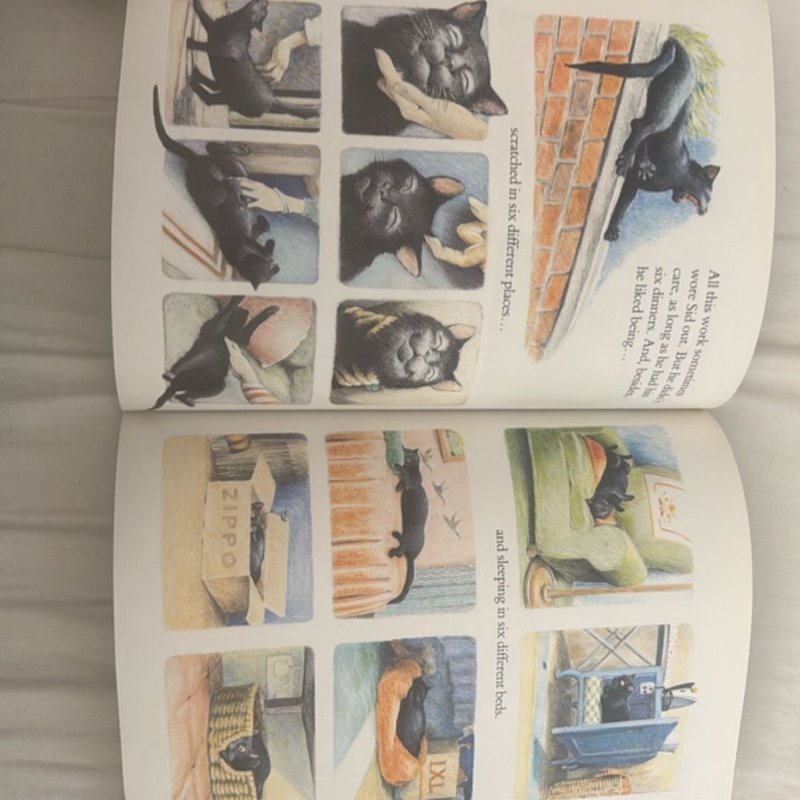 Six Dinner Sid By Inga Moore Illustrator