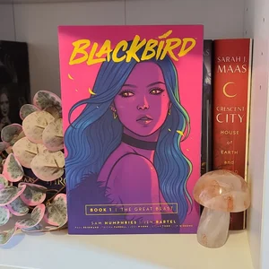 Blackbird Volume 1