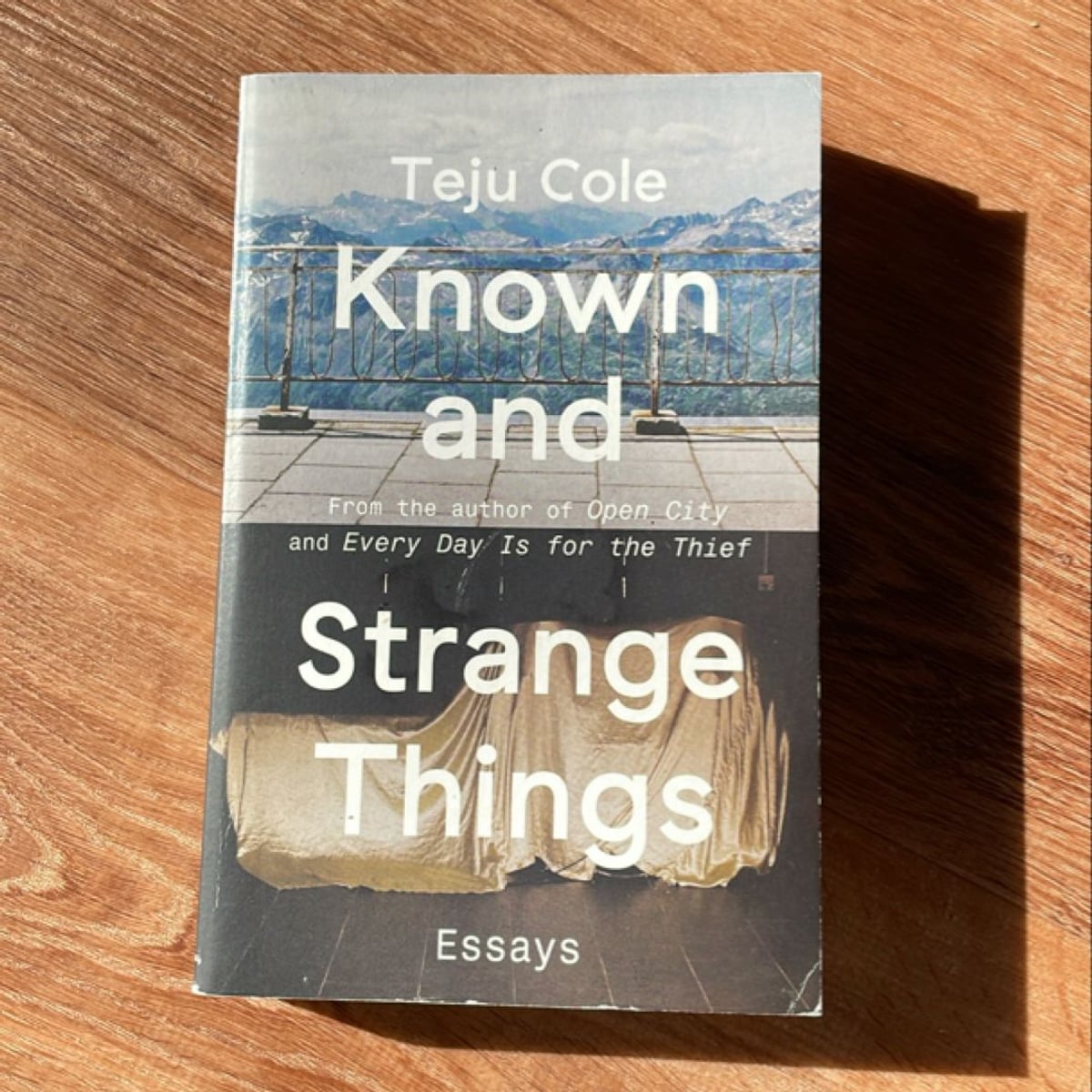 Known and Strange Things by Teju Cole