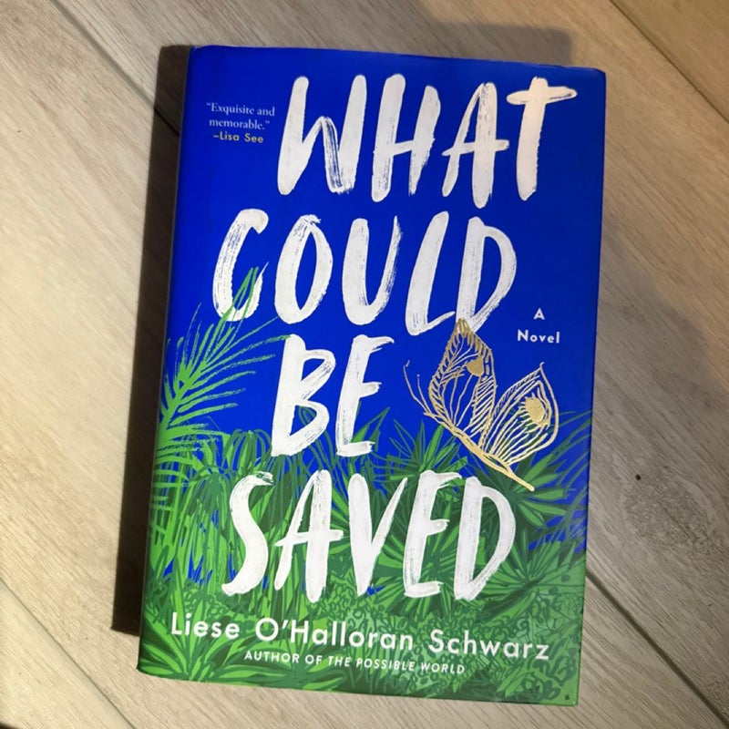 What Could Be Saved