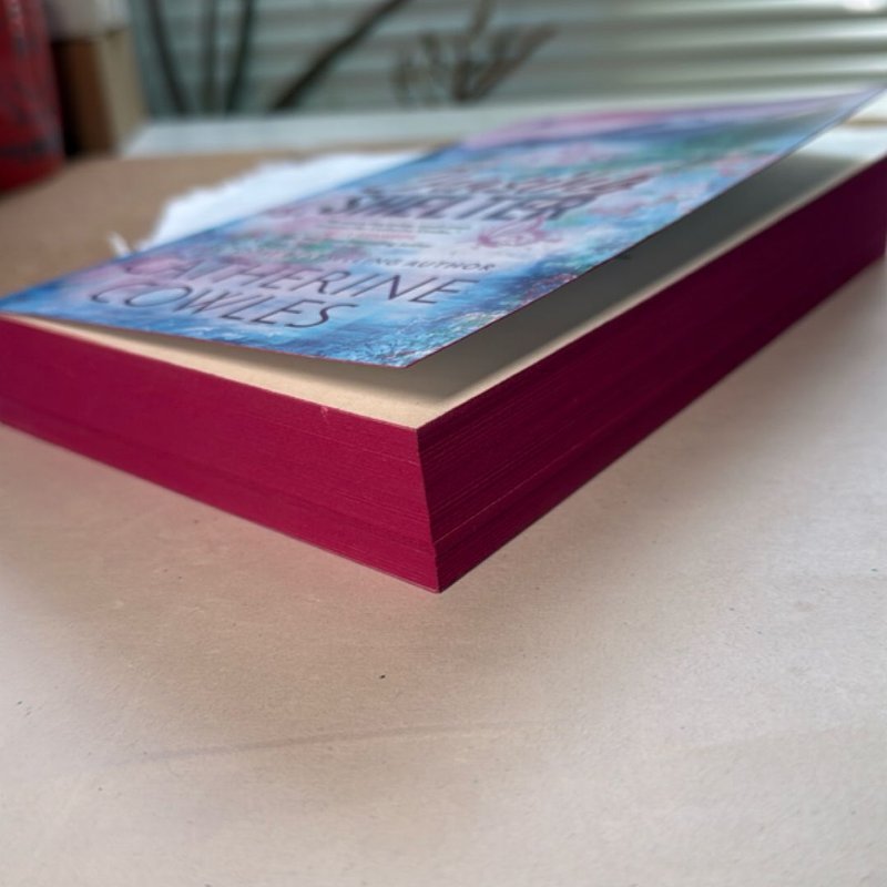 Chasing Shelter (Deluxe Edition)