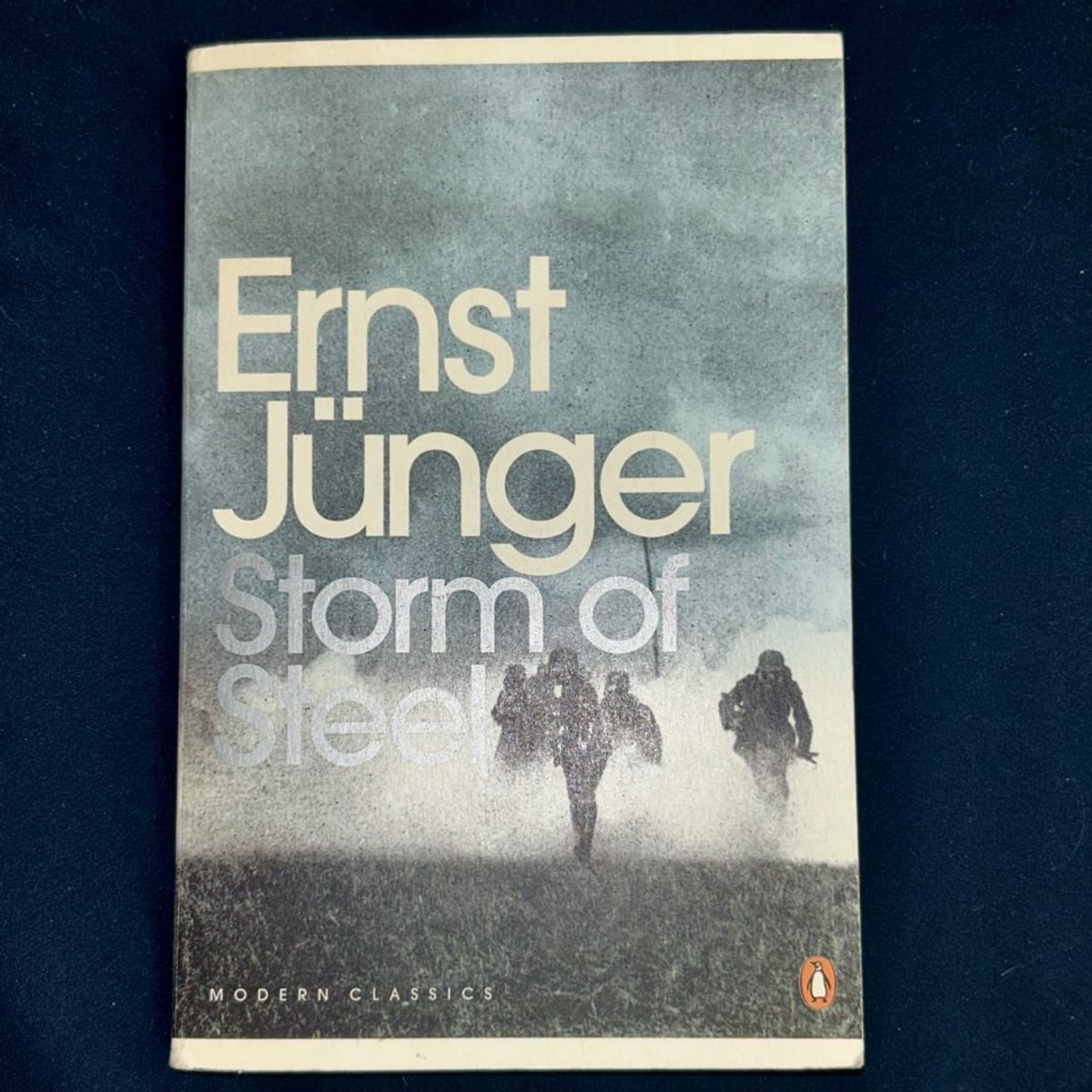 Storm of Steel by Ernst Junger, Michael Hofmann, Ernst Junger