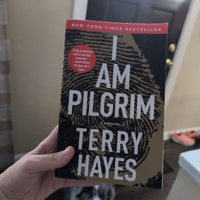 I Am Pilgrim