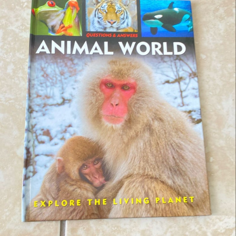 Animal World