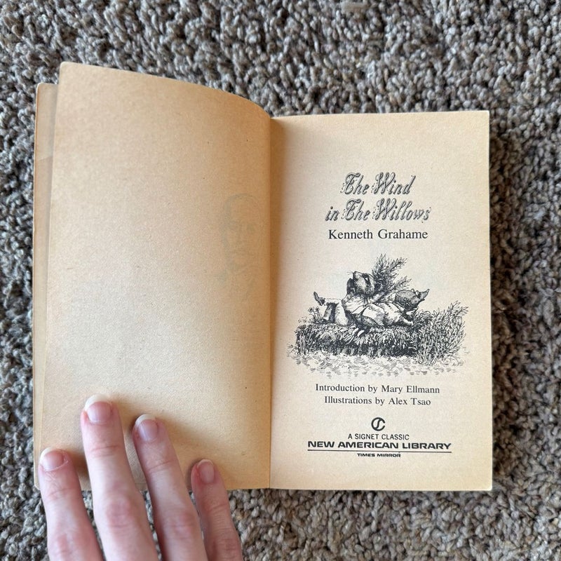 The Wind in the Willows