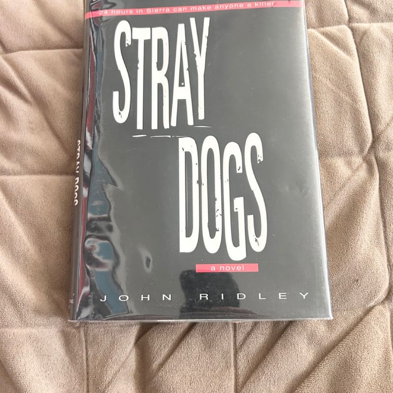 Stray Dogs