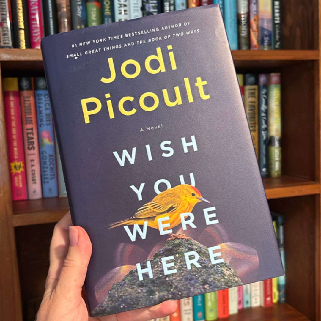 Sale image for b260c527-0f2c-4c6c-9398-7e55e0918ad0-CchYn4mogbOeisDVMAWDs9Lnxwf2