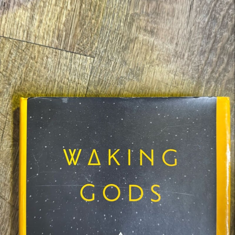 Waking Gods