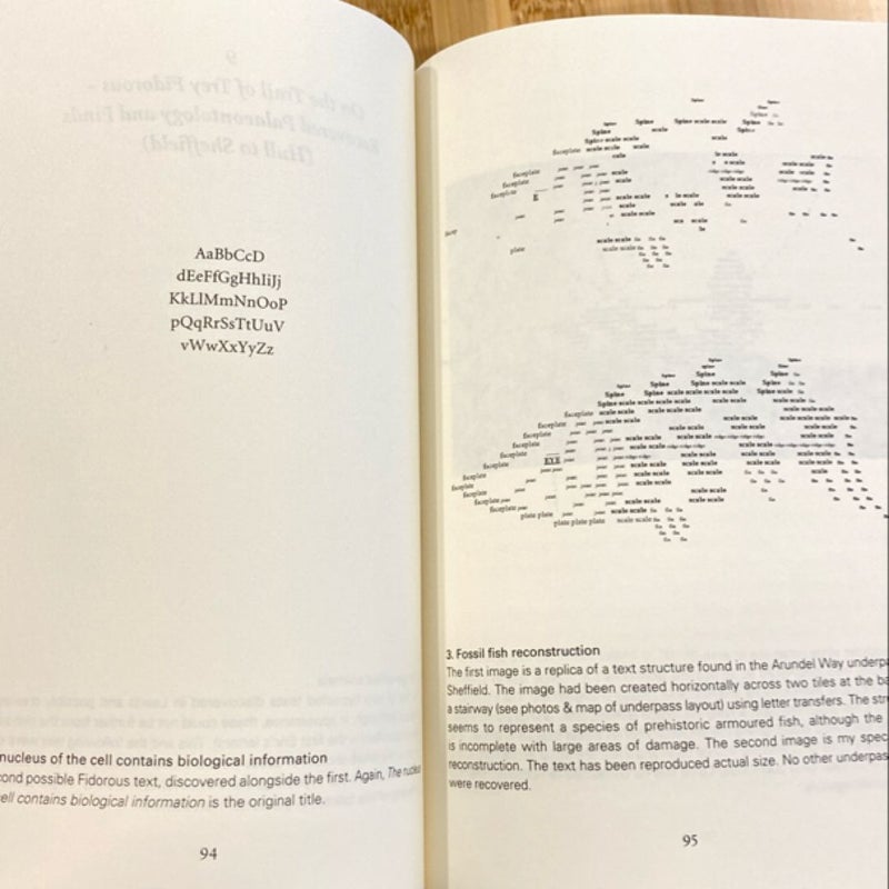 The Raw Shark Texts by Steven Hall