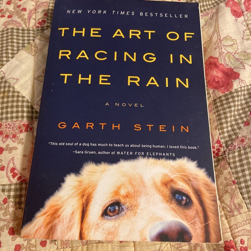 The Art of Racing in the Rain