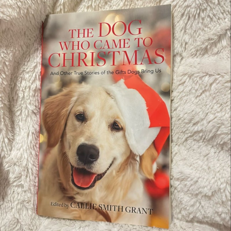 The Dog Who Came to Christmas