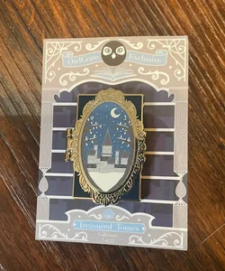 Spinning Silver Owlcrate pin