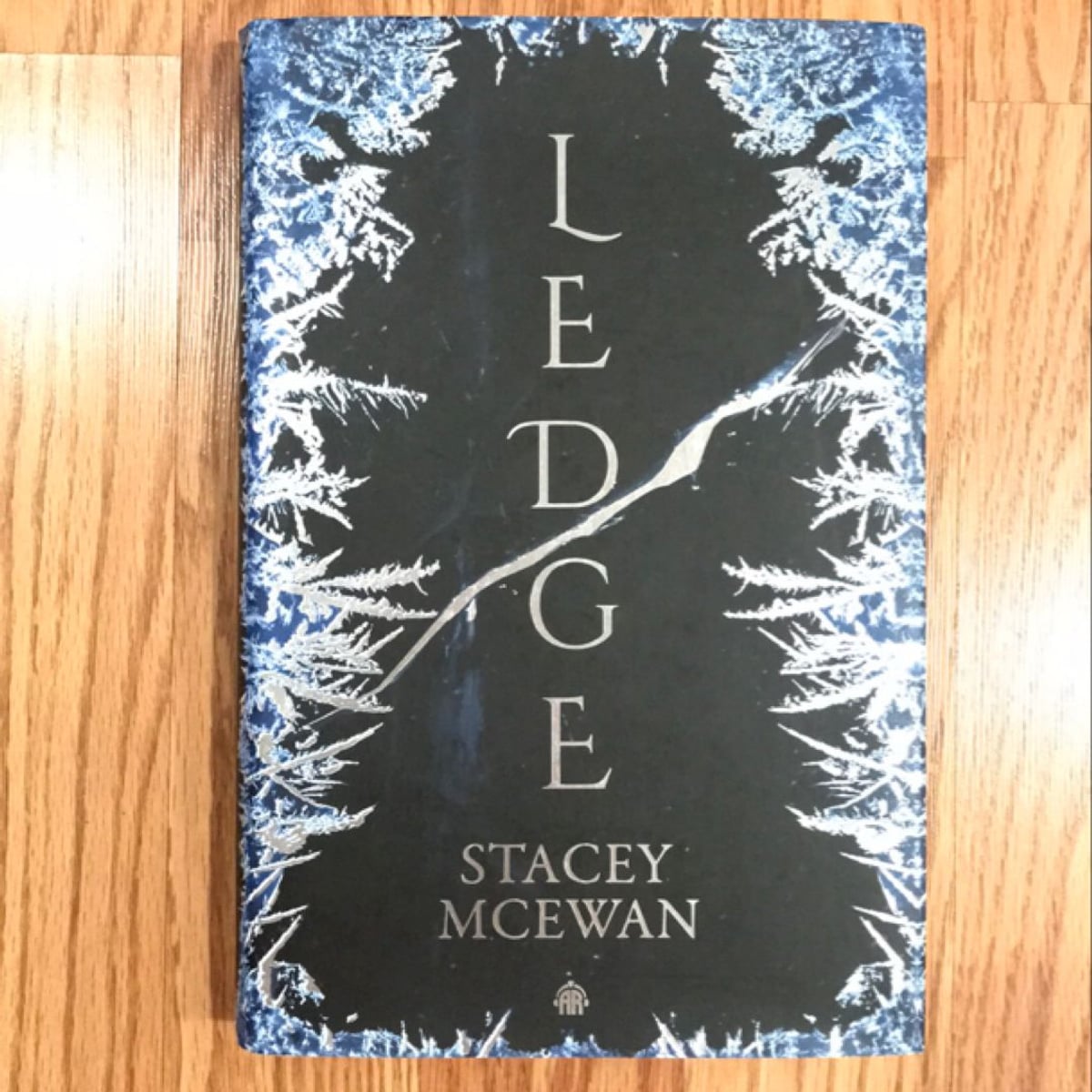 Ledge by Stacey McEwan, Hardcover Pangobooks