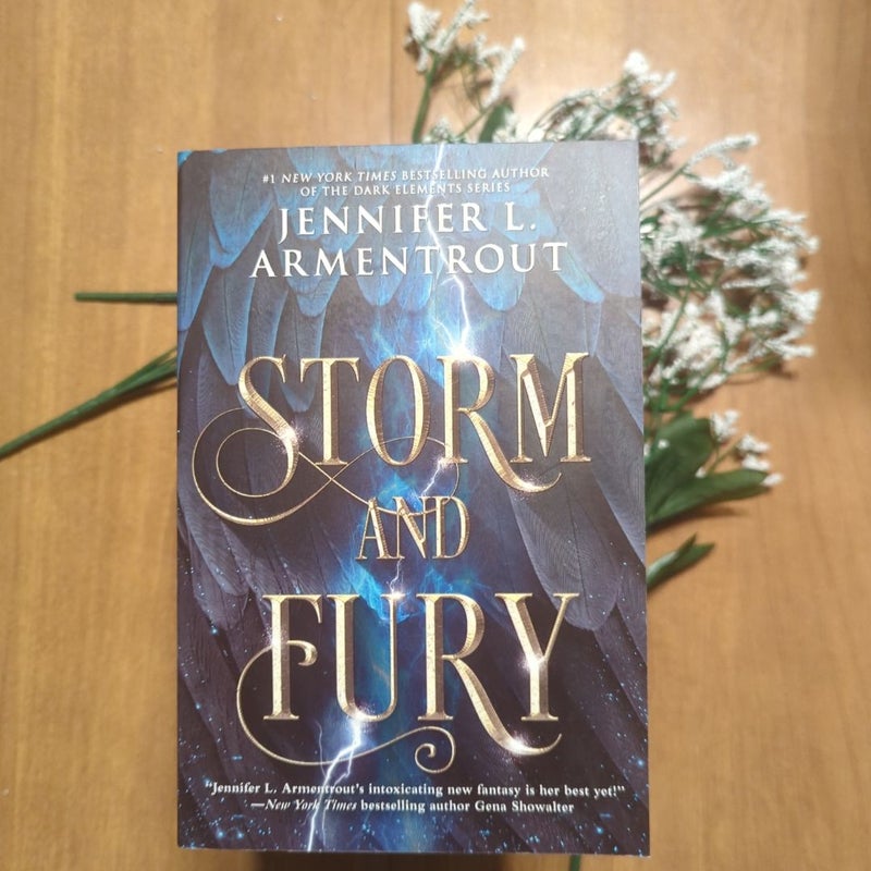 Storm and Fury