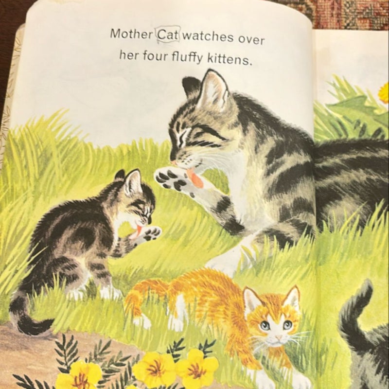 Animals on the Farm