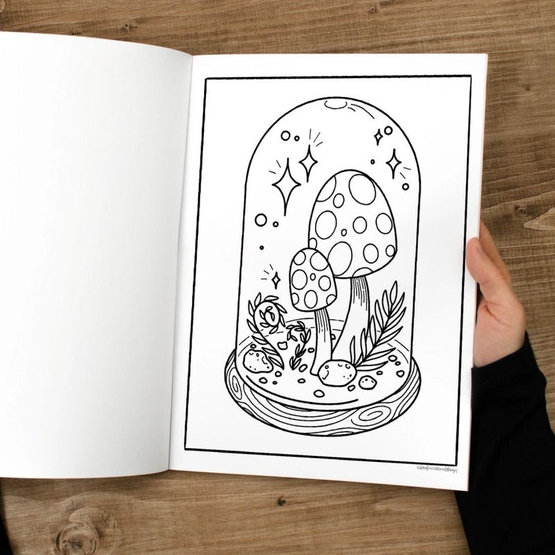 The Fairy Garden Coloring Book