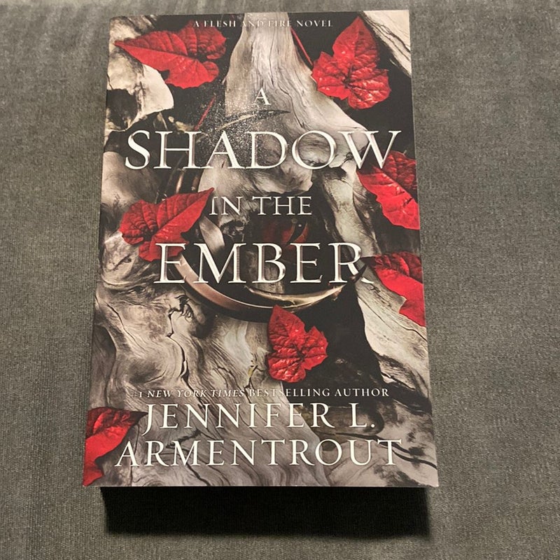 A Shadow In The Ember Plot