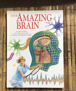 Your Amazing Brain