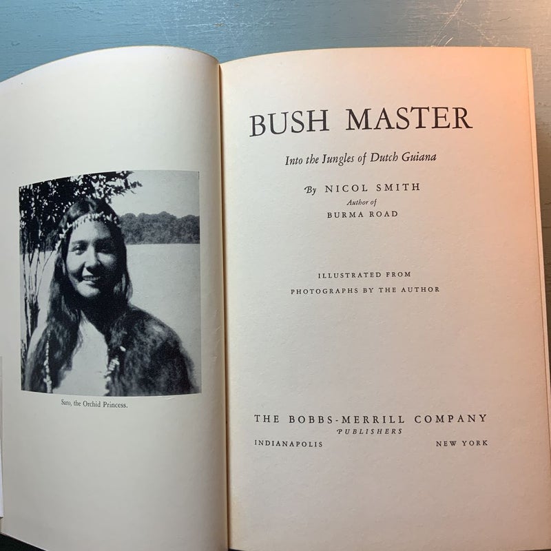 Bush Master