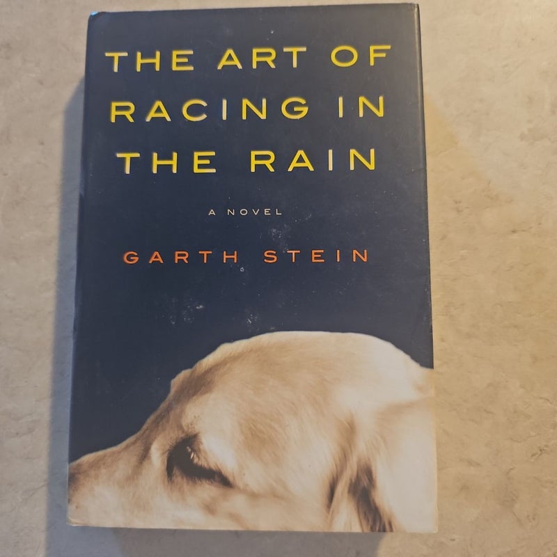 The Art of Racing in the Rain