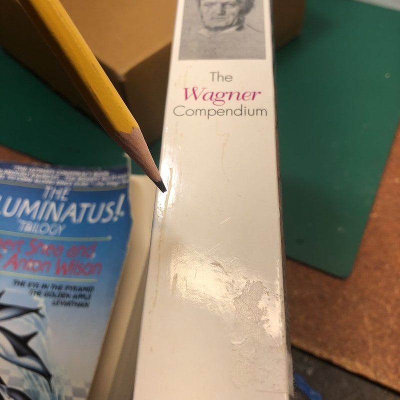 The Wagner Compendium by Barry Millington, Paperback | Pangobooks
