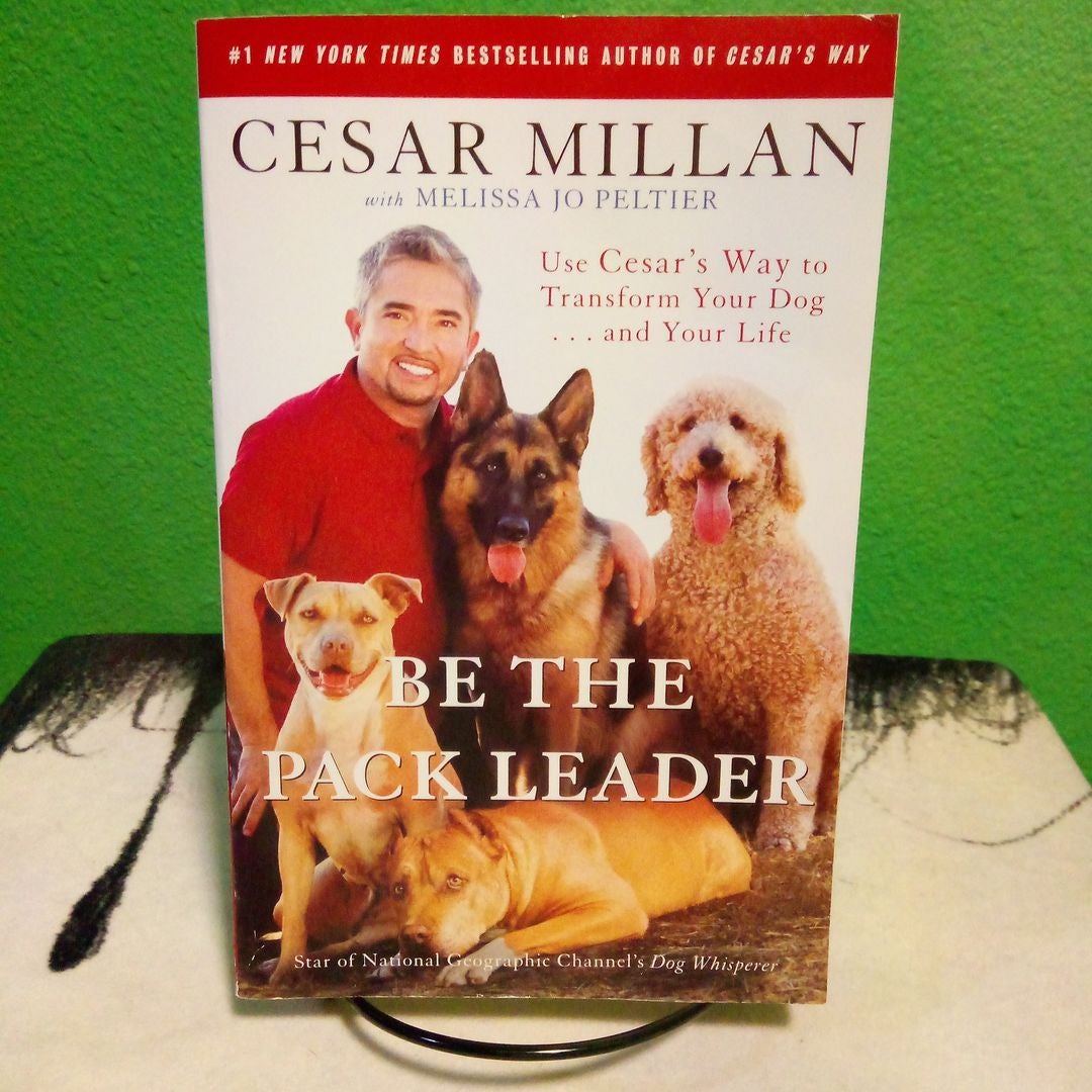 Cesar millan best sale e collar