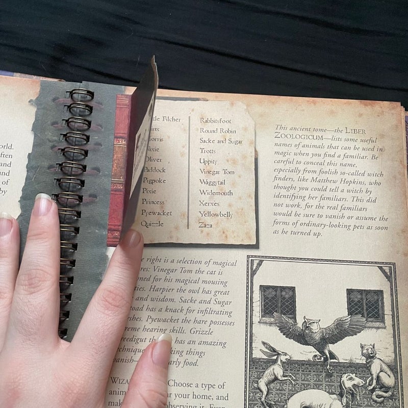 The Wizardology Handbook