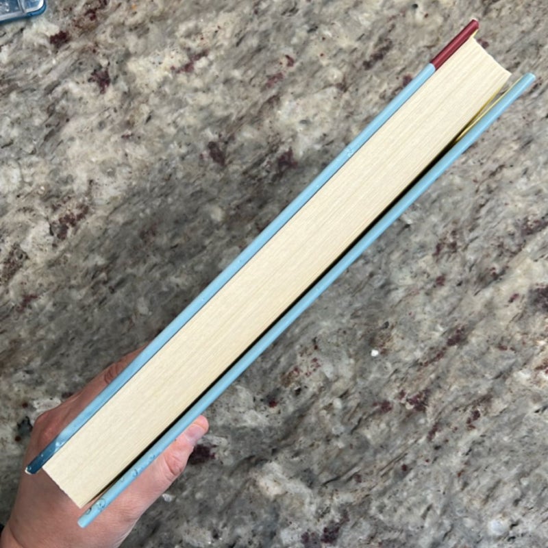 Things We Lost to the Water