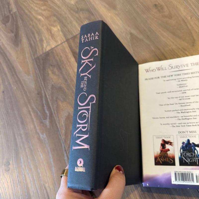 A Sky Beyond the Storm