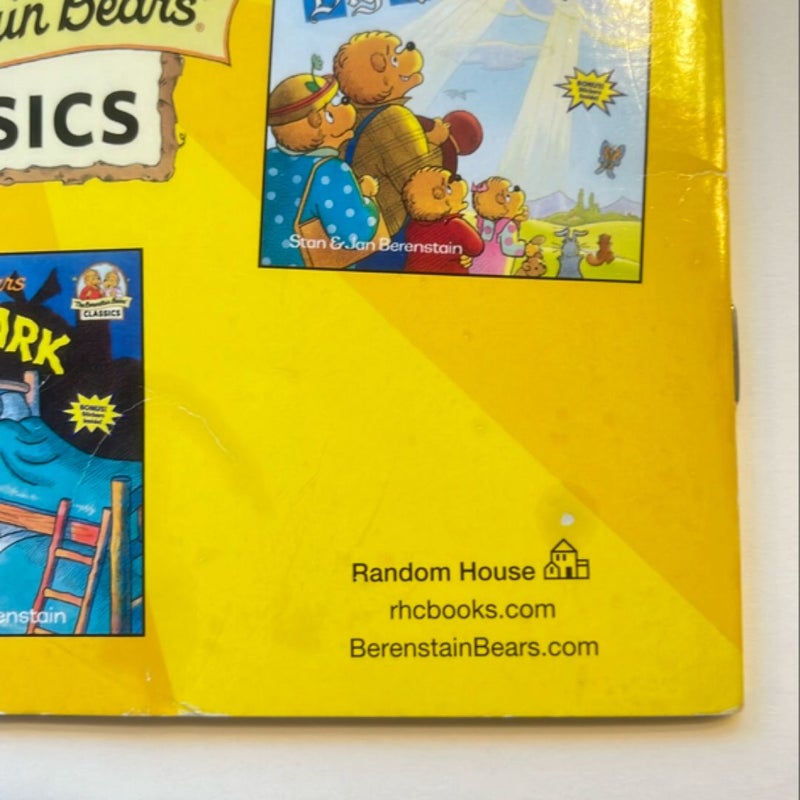 The Berenstain Bears' Dollars and Sense