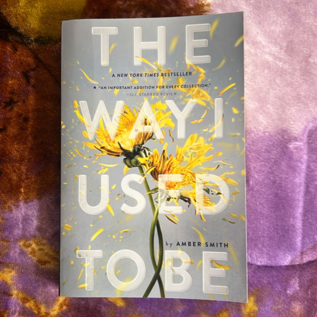 The Way I Used to Be