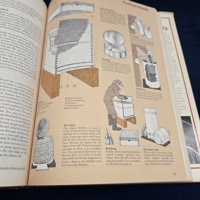 Popular Mechanics