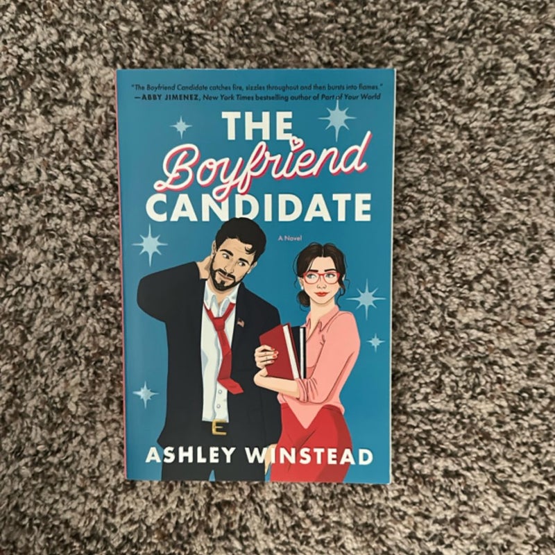 The Boyfriend Candidate