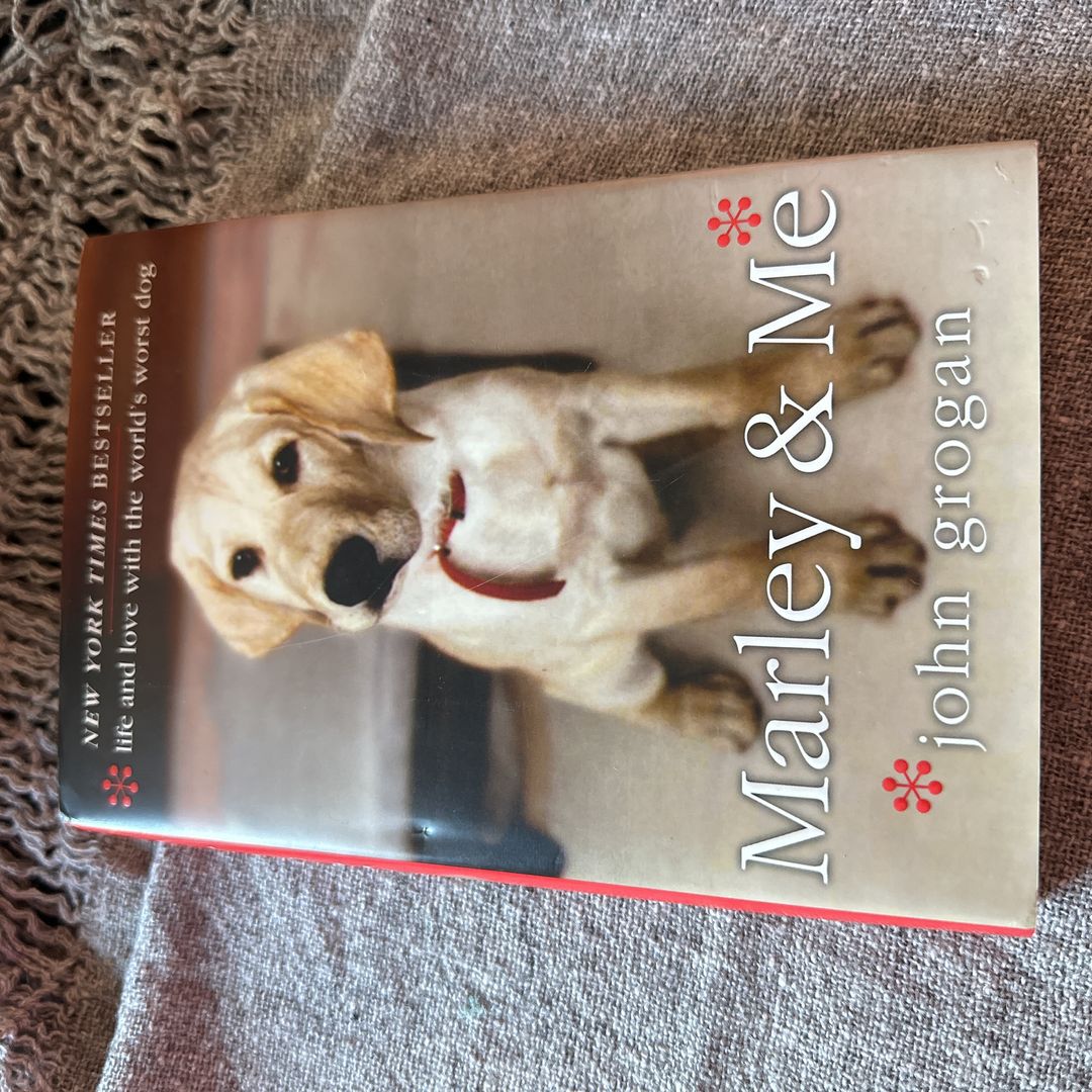 Sale image for 0d510d1c-6b85-4082-8d59-3fdf618d5d5d-qiX61o7j9hYHGaWtTnd3SsVvDj72