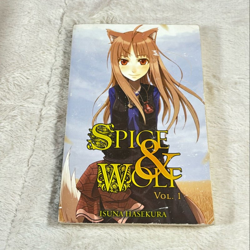 Spice and Wolf, Vol. 1 (light Novel not manga)
