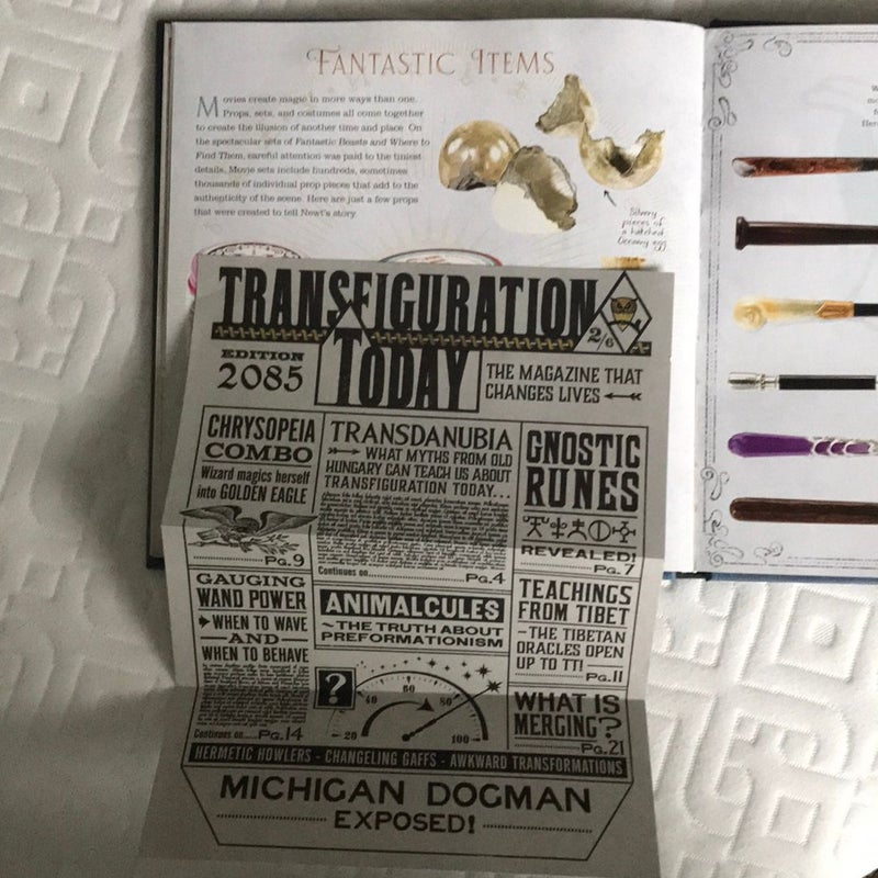 Newt Scamander: A Movie Scrapbook