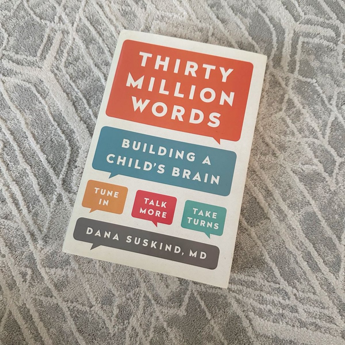 Thirty Million Words by Dana Suskind