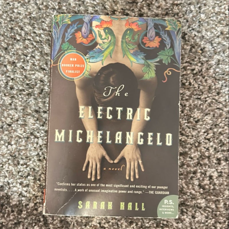 The Electric Michelangelo