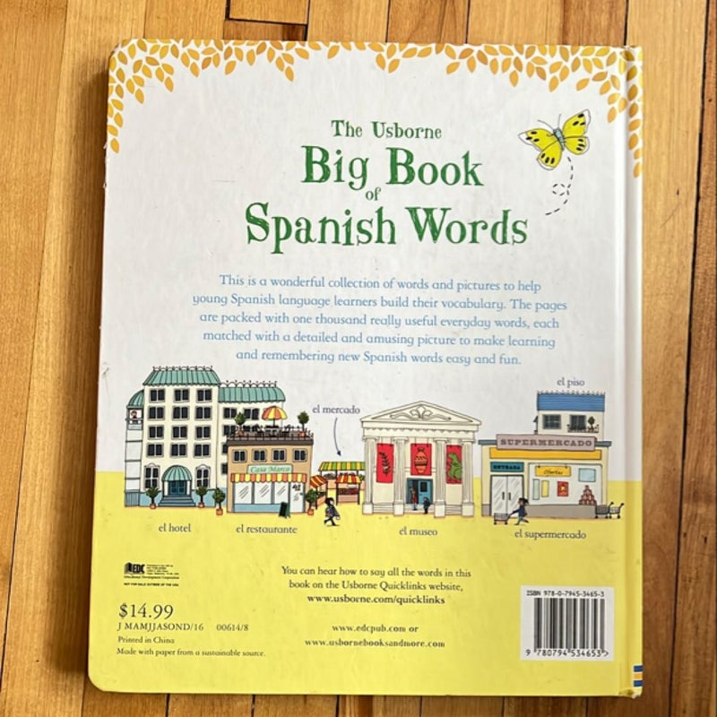 The Usborne Big Book of Spanish Wordz