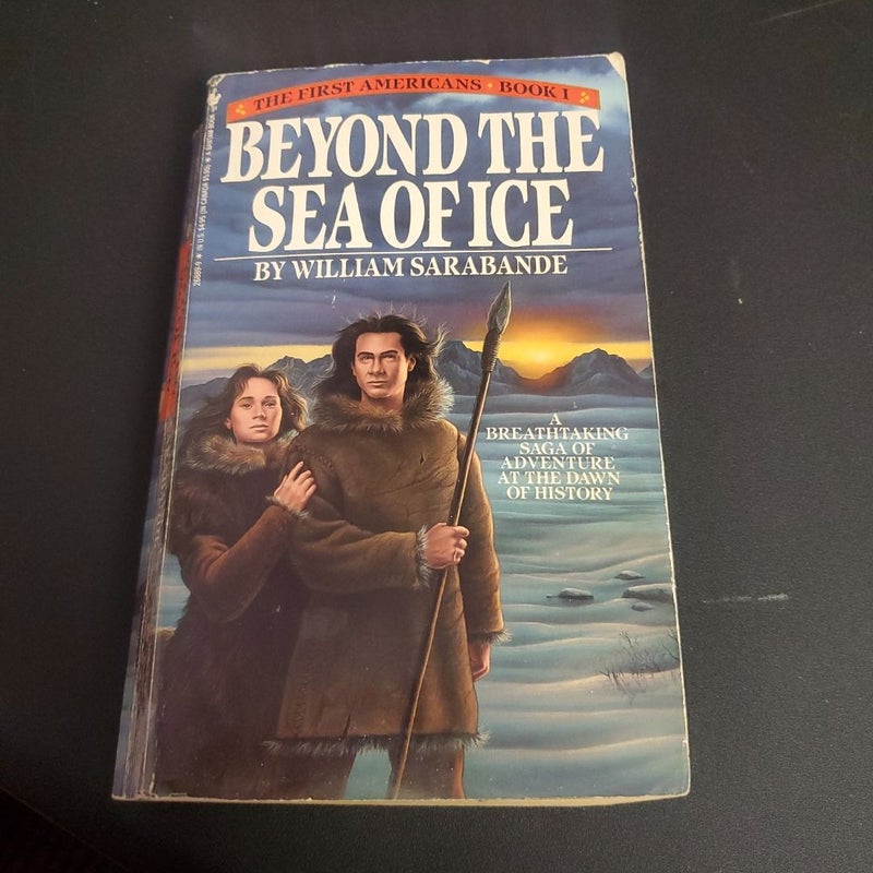 Beyond the Sea of Ice