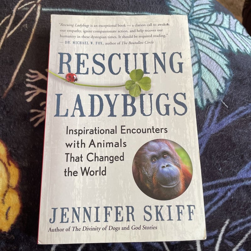 Rescuing Ladybugs