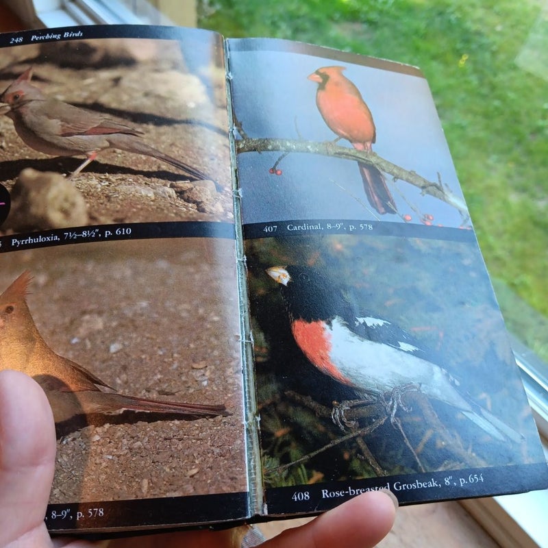 The Audubon Society Field Guide to North American Birds 