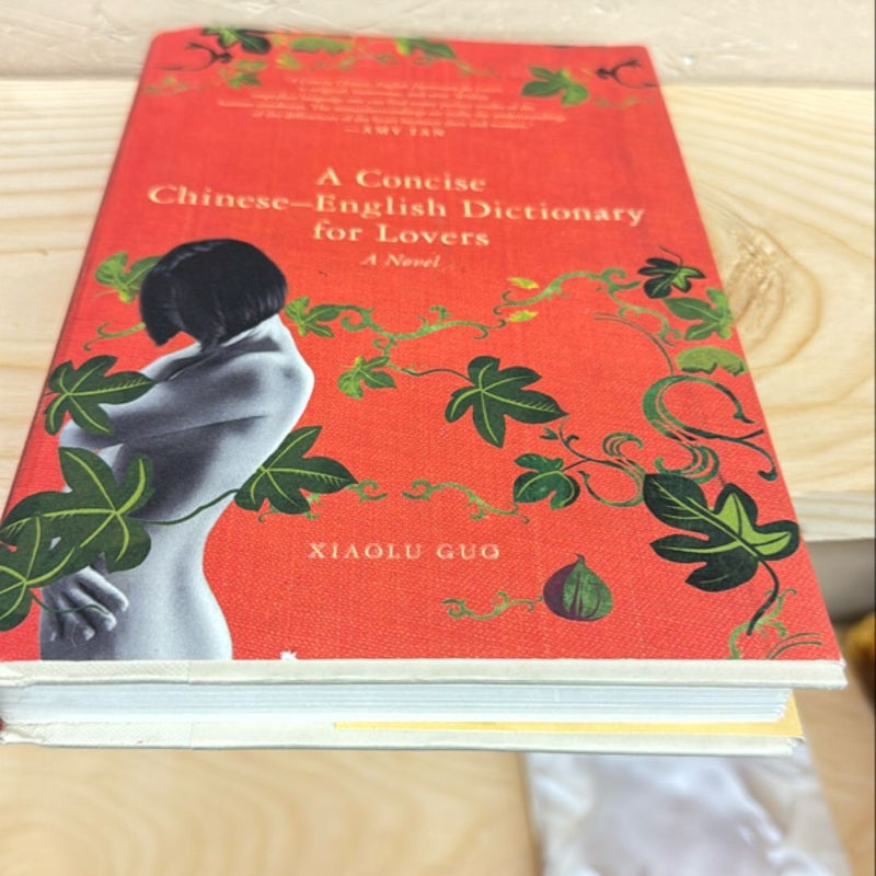 A Concise Chinese-English Dictionary for Lovers