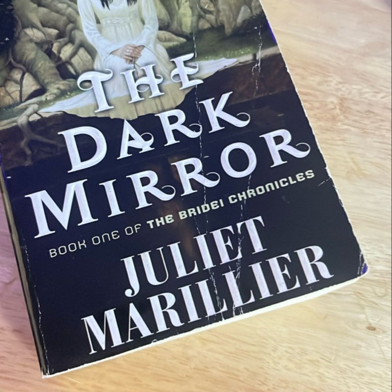 The Dark Mirror