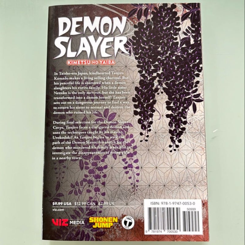 Demon Slayer: Kimetsu No Yaiba, Vol. 2