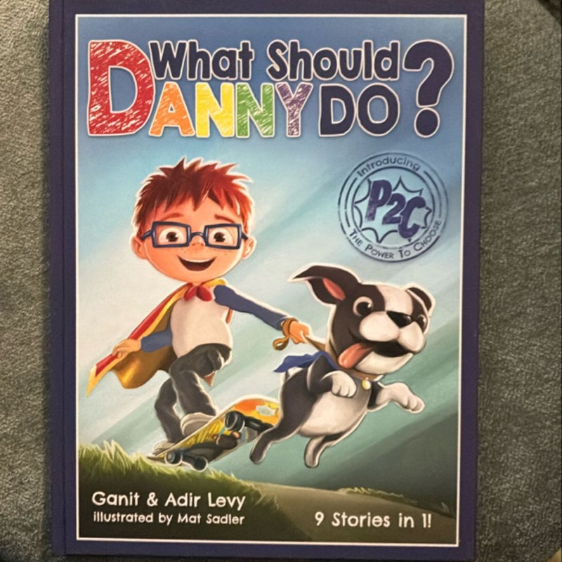 What Should Danny Do?