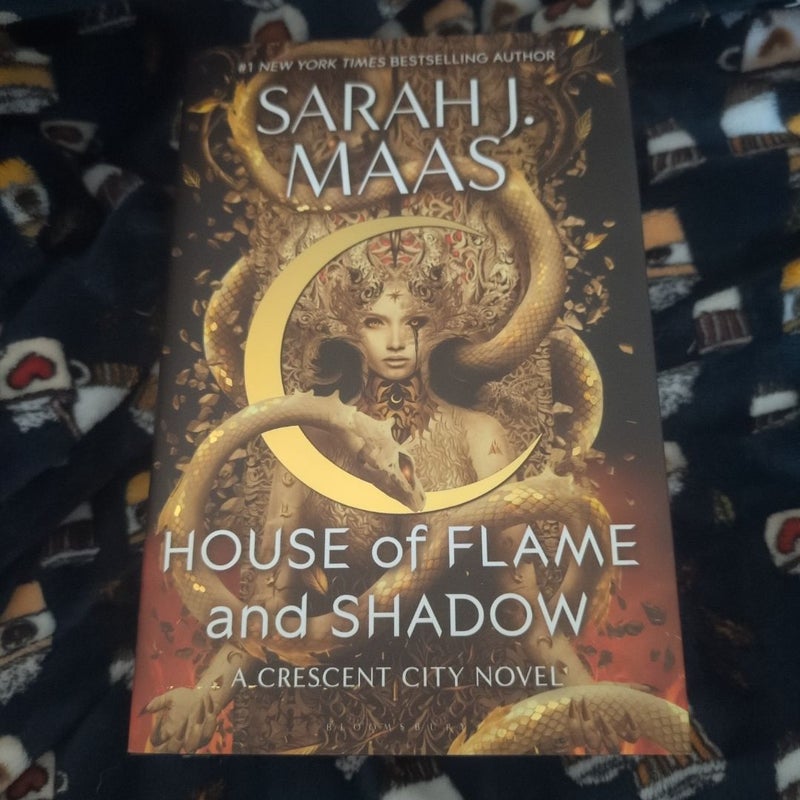 House of Flame and Shadow