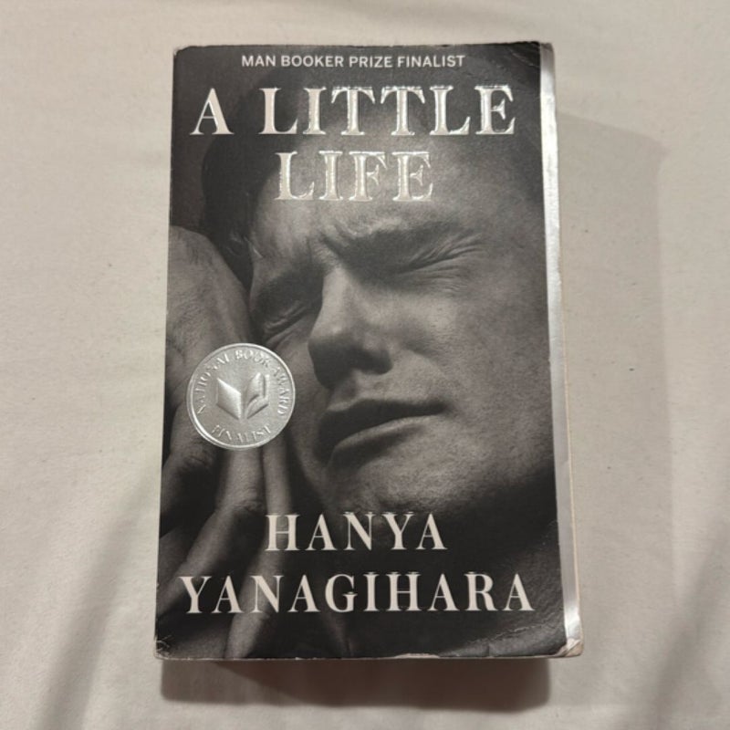 A Little Life