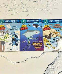 Wild  Kratts Bundle